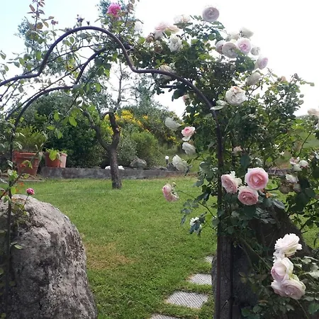 Casale Pievecchia, Tatil Evi